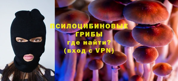 таблы Бородино