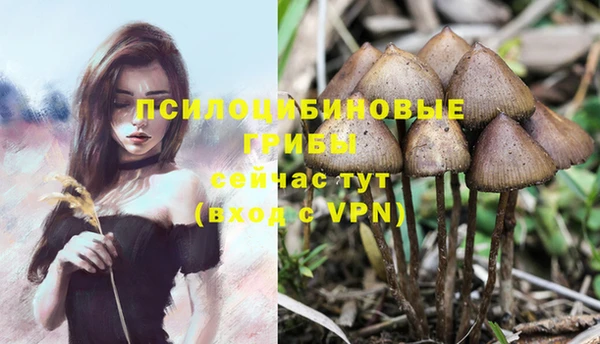 ПСИЛОЦИБИНОВЫЕ ГРИБЫ Бронницы