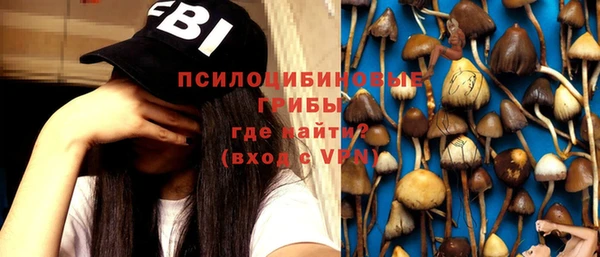 ПСИЛОЦИБИНОВЫЕ ГРИБЫ Бронницы