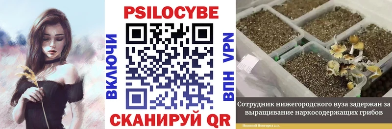 наркошоп  Железногорск-Илимский  Галлюциногенные грибы мухоморы 